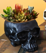Black Halloween Skull Resin Desktop Ornament and Pen Holder - Spooky Decor - Front View