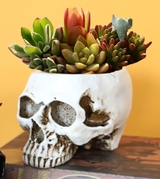 White Halloween Skull Resin Desktop Ornament and Pen Holder - Spooky Decor - Front View