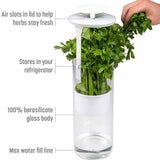 White Premium Herb Savor & Freshness Keeper - Extends Life of Herbs, Cilantro, Parsley & More - Front View