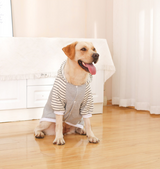 Autumn/Winter Dog Clothes - Grey Hoodie with Striped Hood & Baseball Bear (Size - L) - Front View