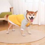 Autumn/Winter Dog Clothes - Yellow Hoodie with Striped Hood & Baseball Bear (Size - 2XL)