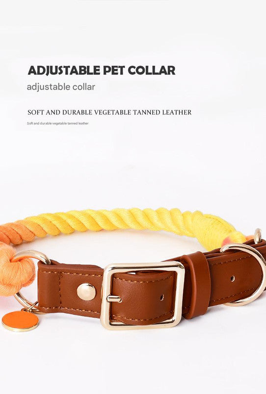 Premium Leather Pet Collar and Leash - Soft, Strong Braided Rope (Honey orange - Size M)