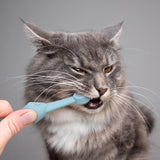 6 x Silicone Pet Toothbrush (3 Fish shape and 3 Bone shape) Beige Gentle Food-Grade Silicone Pet Toothbrush - Promotes Healthy Teeth & Gums for Dogs & Cats - Rear View