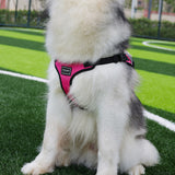 Size L Black and Pink Ultimate Dog Harness Vest with Backpack - Padded, Reflective & Adjustable for Medium to Large Breeds - Front View