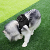 Size S Black Ultimate Dog Harness Vest with Backpack - Padded, Reflective & Adjustable for Medium Sized Dogs - Front View