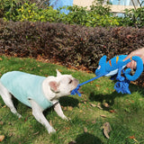 2 Pcs Blue Interactive Plush Chameleon Dog Toy with Squeaker & Rope Legs - Durable Chew Toy for Medium/Large Dogs, Teeth Cleaning Texture, Machine Washable (10.2in)