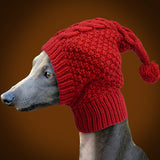 Size S Red Whimsical Knit Dog Hat with Pom-Pom - Cozy Winter Pet Beanie & Snood - Side View