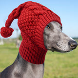 Size M Red Whimsical Knit Dog Hat with Pom-Pom - Cozy Winter Pet Beanie & Snood - 45-Degree Angle