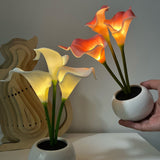Pink Elegant Calla Lily LED Table Lamp - Lifelike Potted Flower Accent Light for Bedside Home Decor - Front View