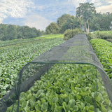 Premium Thickened Black Insect & Bird Protection Net - 2x5m for Gardens & Greenhouses - Top-Down View