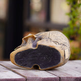 Mystic Runic Skull Statue with Gold Fang - Hand-Painted Resin Figurine for Gothic & Halloween Decor - Side View