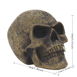 Mystic Runic Skull Statue with Gold Fang - Hand-Painted Resin Figurine for Gothic & Halloween Decor - Top-Down View