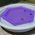 2PCS S 180x160x3mm Purple Floating Bee Saver Waterer - Safe Drinking Platform for Garden Ponds & Bird Baths