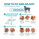 Orange Adjustable Granby Dog Life Vest for Swimming - Front View