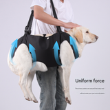 Black Pet Support Harness for Senior and Disabled Dogs - Adjustable Chest and Back Support Leash(Size M) - Side View
