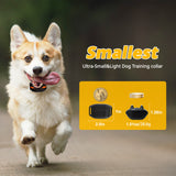 Ultra-Small & Lightweight Dog Training Collar with Remote - 3 Modes, Adjustable Levels, Fits All Sizes(black) - Front View