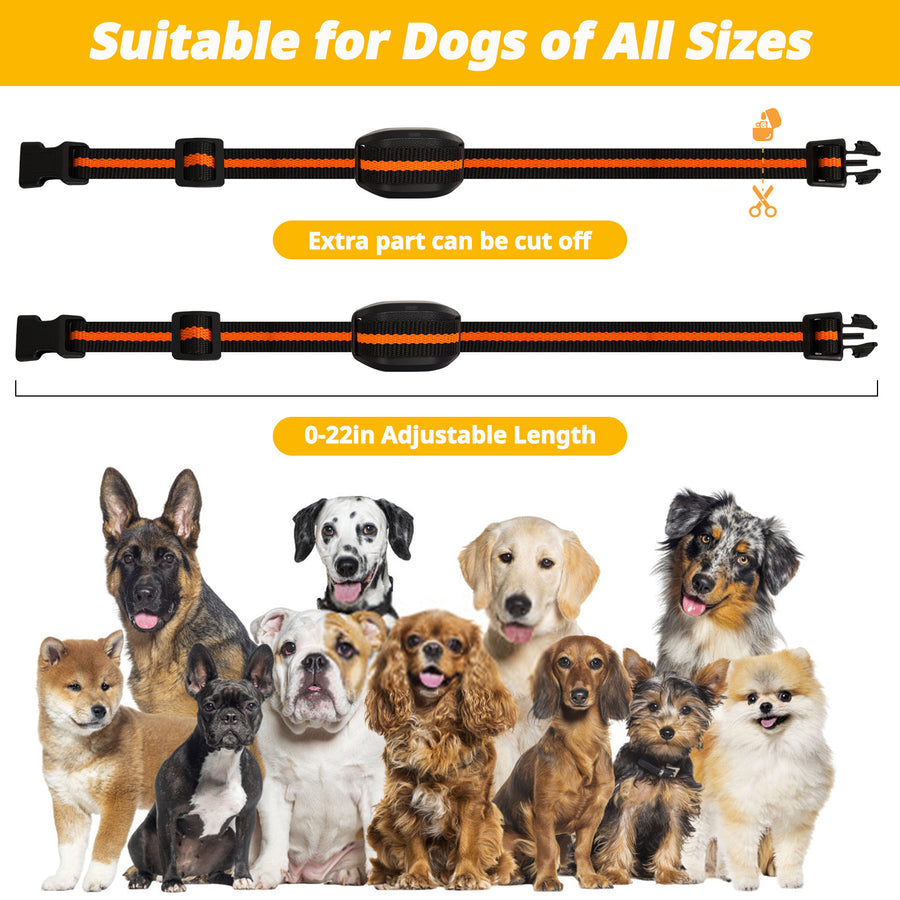 Ultra-Small & Lightweight Dog Training Collar with Remote - 3 Modes, Adjustable Levels, Fits All Sizes(black)