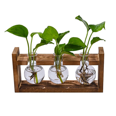 Brown Desktop Plant Propagation Station - Rustic Wooden Stand with 3 Glass Bulb Vases for Hydroponics & Cuttings