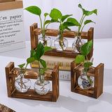Brown Desktop Plant Propagation Station - Rustic Wooden Stand with 3 Glass Bulb Vases for Hydroponics & Cuttings - Side View