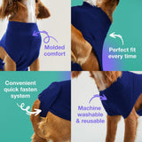 M Blue Premium Pet Physiological Suit - Comfortable & Breathable Bamboo Modal Recovery Suit