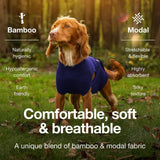 M Blue Premium Pet Physiological Suit - Comfortable & Breathable Bamboo Modal Recovery Suit - Top-Down View