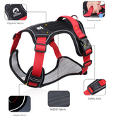 Blue L Adjustable No-Pull Dog Harness and Leash Set - Reflective & Padded Vest for Medium to Large Dogs - Top-Down View