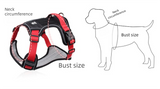 Blue XL Adjustable No-Pull Dog Harness and Leash Set - Reflective & Padded Vest for Medium to Large Dogs - Side View