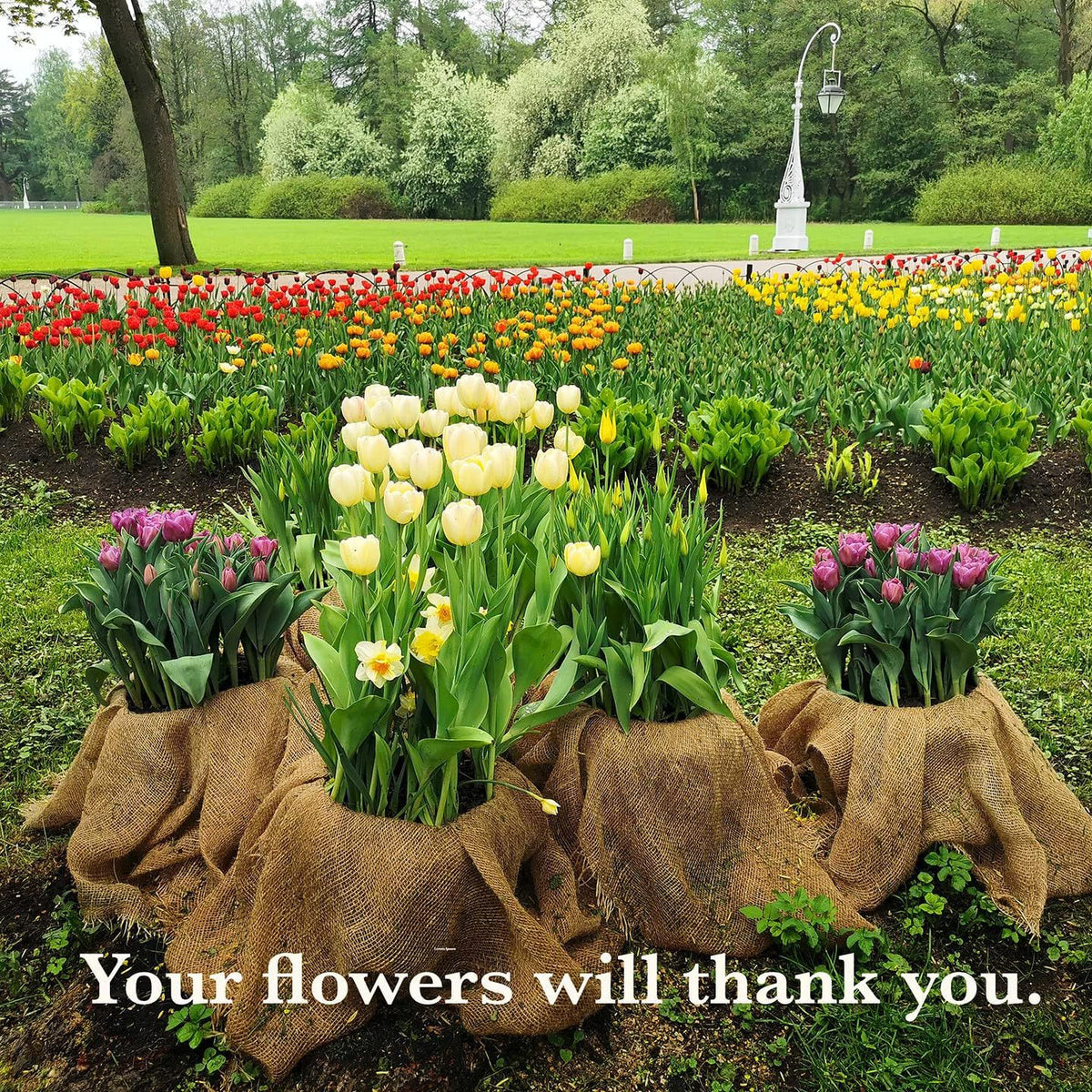 40in x 15ft Natural Jute Burlap Plant Blankets - High Density Winter Frost Protection for Australian Gardens and Trees