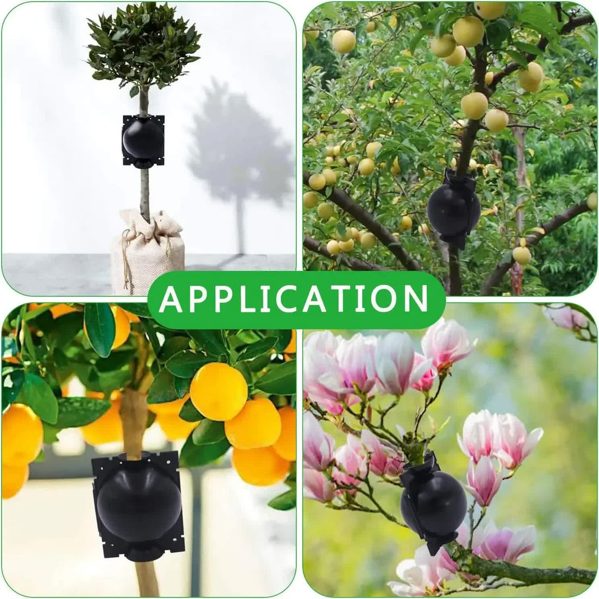 5-Pack Black Reusable Plant Air Layering Propagation Pod (Diameter: 5cm) - Anti-Waterlogging Grafting Root Ball Rooting Device for Flower & Fruit Trees