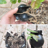 5-Pack Transparent Reusable Plant Air Layering Propagation Pod (Diameter: 5cm) - Anti-Waterlogging Grafting Root Ball Rooting Device for Flower & Fruit Trees - Front View