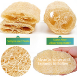 4-Pack Premium Soft Square Natural Loofah Segment Scrubber With Hanging Rope - Zero Waste Kitchen & Bath Loofah (Expands to >5cm Diameter & L 10CM) - Side View