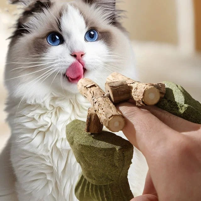 Brown 5 Pack Cat Catnip Toys Fish Bone Shaped Silvervine Chew Sticks for Teeth Cleaning and Interactive Play