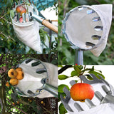 Green Telescopic Fruit Picker Tool with Stainless Steel Extension Pole Carbon Steel Head and Large Bag for Apples Peaches Oranges Australian Home Orchards(3.2m)