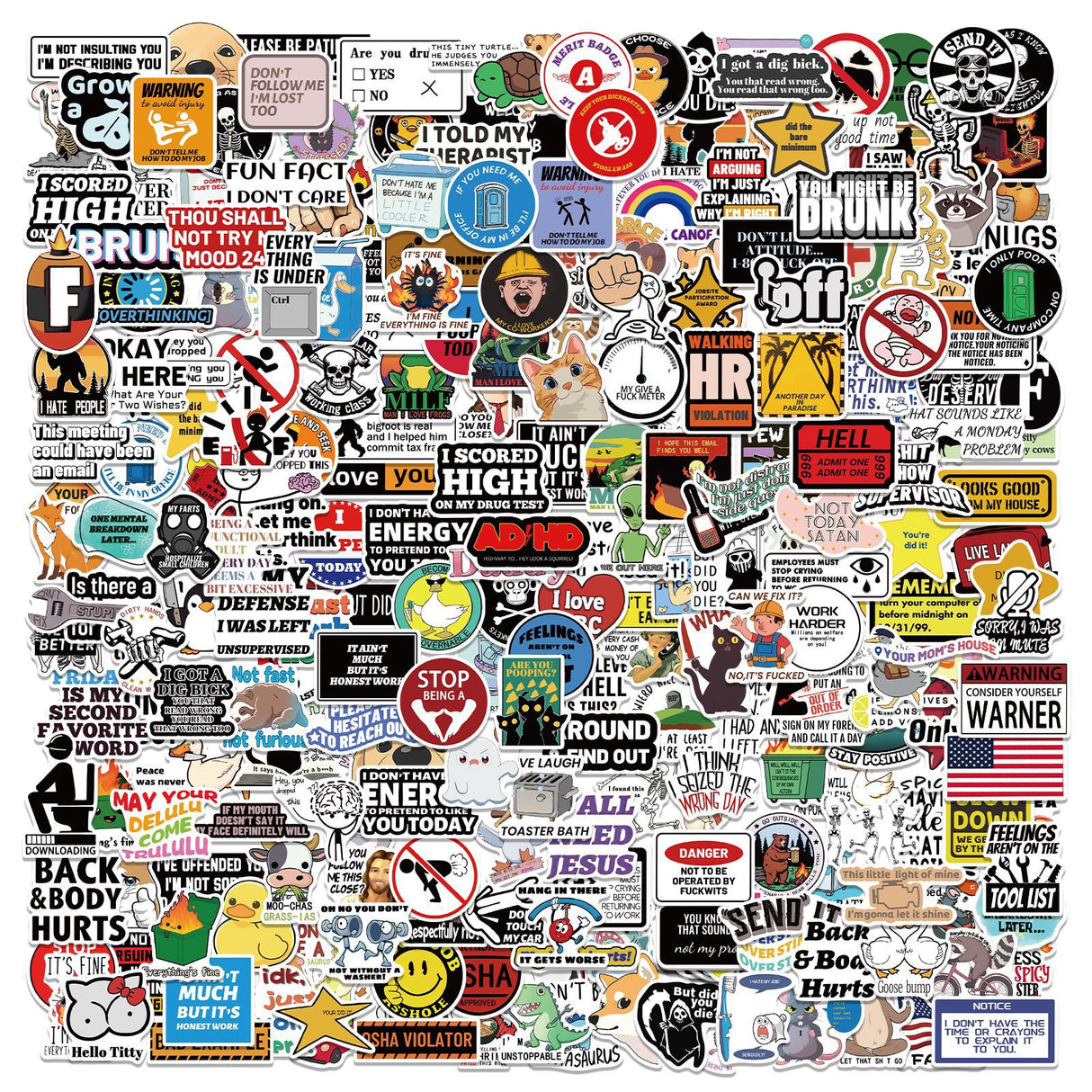 300 Pcs Prank Meme Graffiti Stickers Pack - Waterproof PVC Personalized Decals for Laptop, Luggage, Water Bottle DIY Decoration