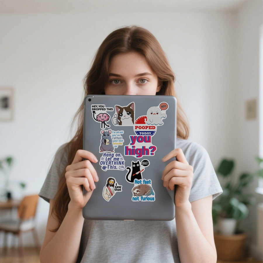 300 Pcs Prank Meme Graffiti Stickers Pack - Waterproof PVC Personalized Decals for Laptop, Luggage, Water Bottle DIY Decoration