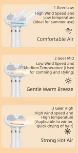 White 6-in-1 Pet Grooming Hair Dryer with Noise-Reduction - Lightweight Handheld Blow Dryer & Mist Slicker Brush - 3-Speed Temperature Control, One-Click Deshedding & Painless Massage - Top-Down View