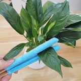 Yellow 3 Pack Microfiber Plant Leaf Cleaning Tongs with Removable Sleeves and Natural Bamboo Handles for Houseplants Maintenance - Top-Down View
