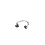 2-PCS Colour G23 Titanium Horseshoe Ring with 5A Zircon Internal Thread for Nose Ear Lip Septum Piercing Hypoallergenic Jewelry for Local Trendsetters