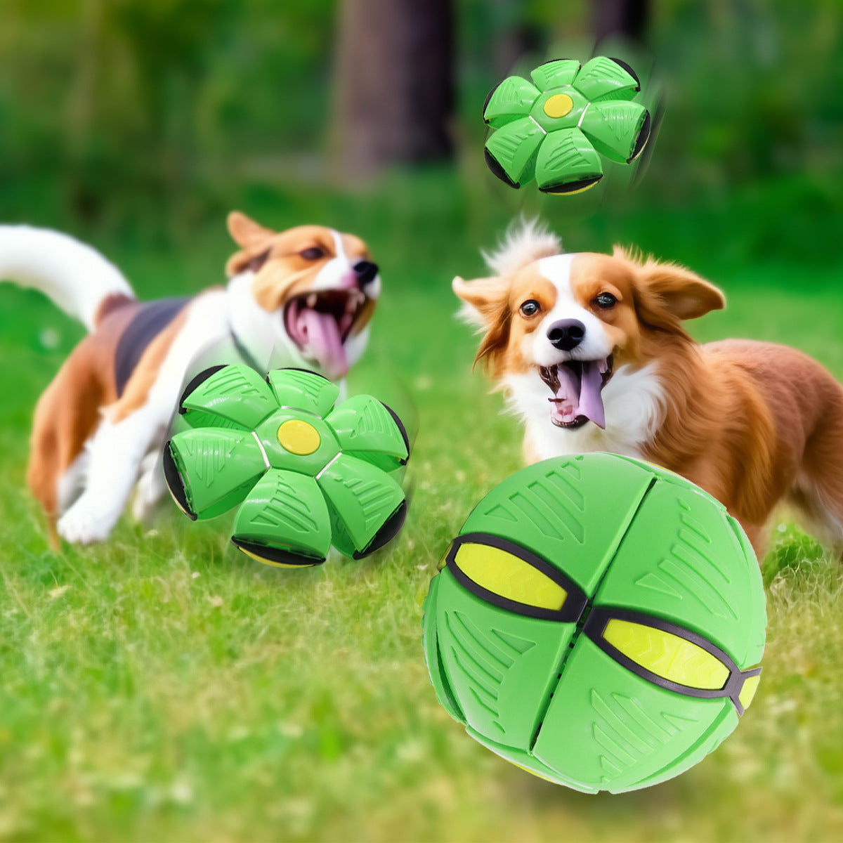 Green Transformable Dog Toy – Dual-Mode Bouncing Ball & Flying Disc for Interactive Play, Durable Chewing, and Mental Stimulation