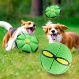 Green Transformable Dog Toy – Dual-Mode Bouncing Ball & Flying Disc for Interactive Play, Durable Chewing, and Mental Stimulation