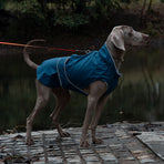 75# Blue Waterproof Reflective Dog Raincoat for Small to Large Dogs