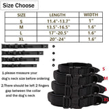 M Green Hands-Free Dog Leash with Adjustable Waist Belt - Shock Absorbing Bungee Lead - Front View