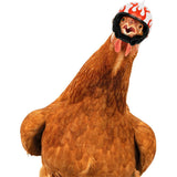 Yellow Pet Chicken Helmet Set of 3 – Protective Headgear for Chicks, Hens, and Birds
