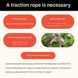 2-Pack Black Small Mammal Harness Set – 6 Pcs (S/M/L ×2) + 2×1.5m Leashes for Secure Outdoor Handling - Front View