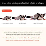 2-Pack Black Small Mammal Harness Set – 6 Pcs (S/M/L ×2) + 2×1.5m Leashes for Secure Outdoor Handling - Side View