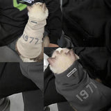 2-Pack M sizeTrendy Pet Hoodie with 