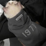 2-Pack M sizeTrendy Pet Hoodie with "1977" Print - Warm Winter Wear for Cats and Small Dogs - with Plush Lining -   Beige and Dark Grey