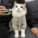 2-Pack L sizeTrendy Pet Hoodie with 