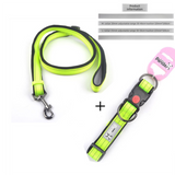 Green L size Vibrant Reflective Dog Collar and Leash Set - Adjustable Nylon Pet Harness with Comfortable Padding