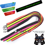 Black M size Vibrant Reflective Dog Collar and Leash Set - Adjustable Nylon Pet Harness with Comfortable Padding